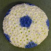 Blue and white 2 D football