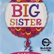 Big sister or big brother balloon