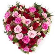 Rose red heart