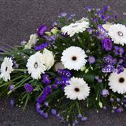 Single ended sheaf purples