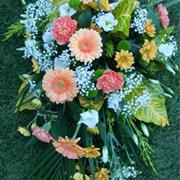 Single ended in peach and white