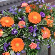 Orange and purple