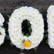SON letters