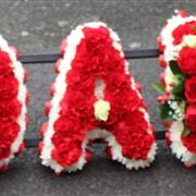 DAD red carnation letters