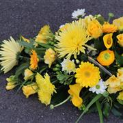 Single ended spray in yellows