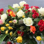 Multi rose double ended spray