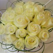 Celeste ivory rose posy