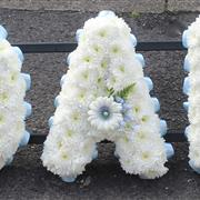 Blue and white DAD