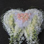 Angel wings