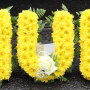 Yellow MUM