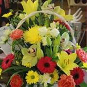 Tutti Frutti large bright basket