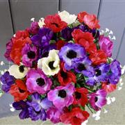Anemone posy