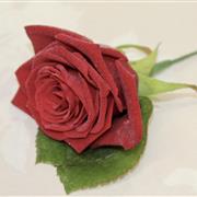 Red rose buttonhole