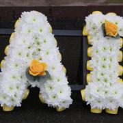 TAID funeral letters