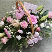 Baby basket